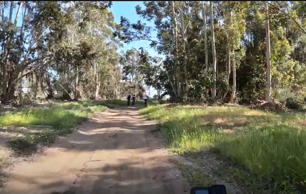 Análisis de Ruta – MTB El Tangue 2024